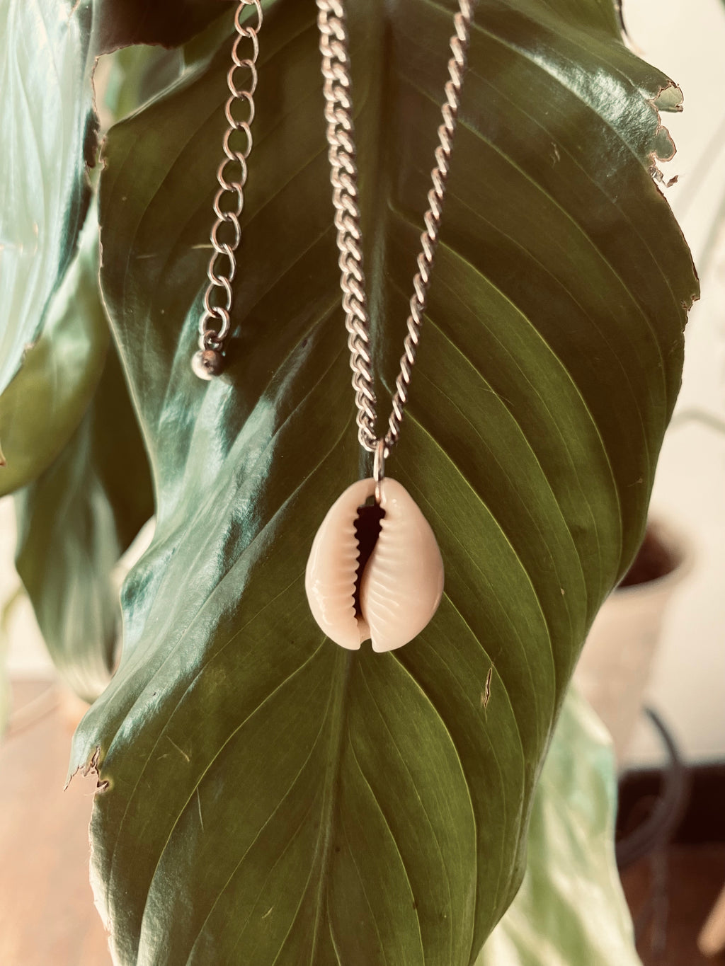 Chaîne argentée pendentif cauri